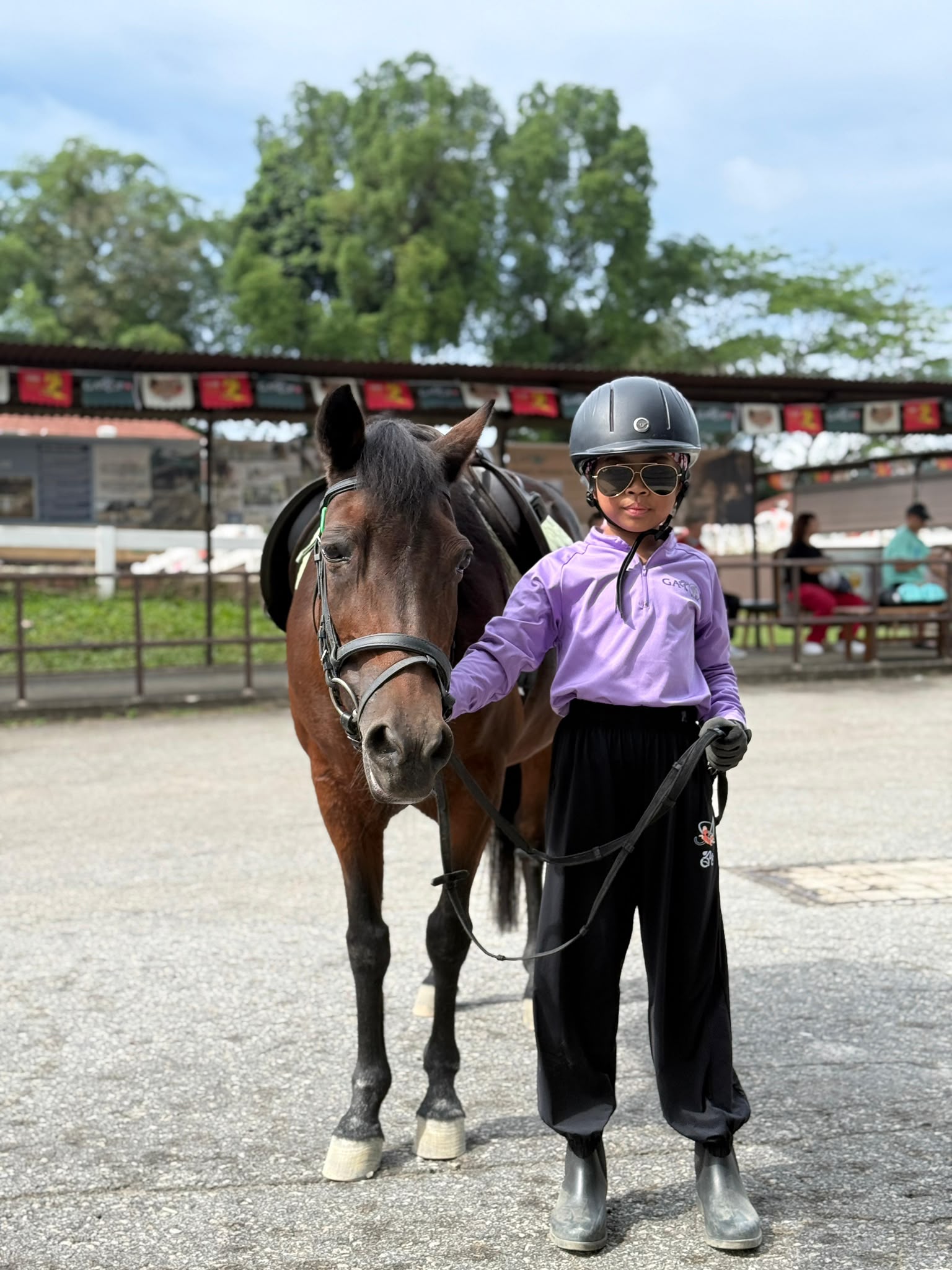 A joyful horse experience